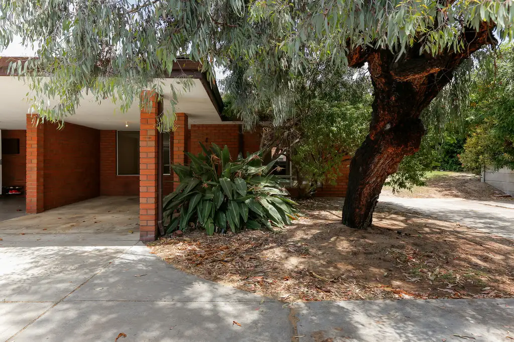 Main view of Homely villa listing, 4/9-11 Alga Street, Scarborough WA 6019