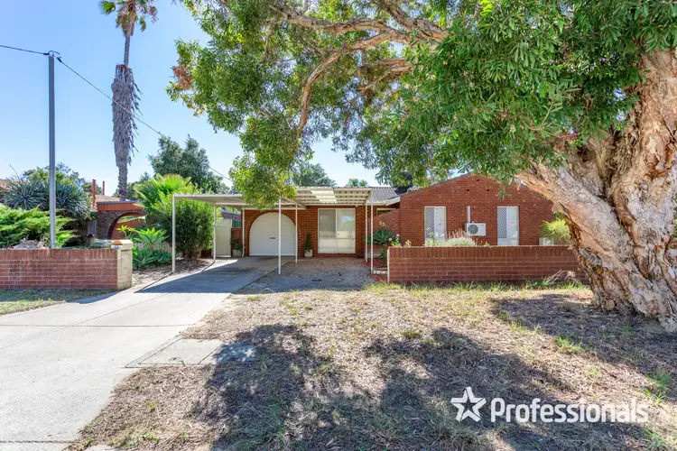 53 Dale Rd, Armadale WA 6112