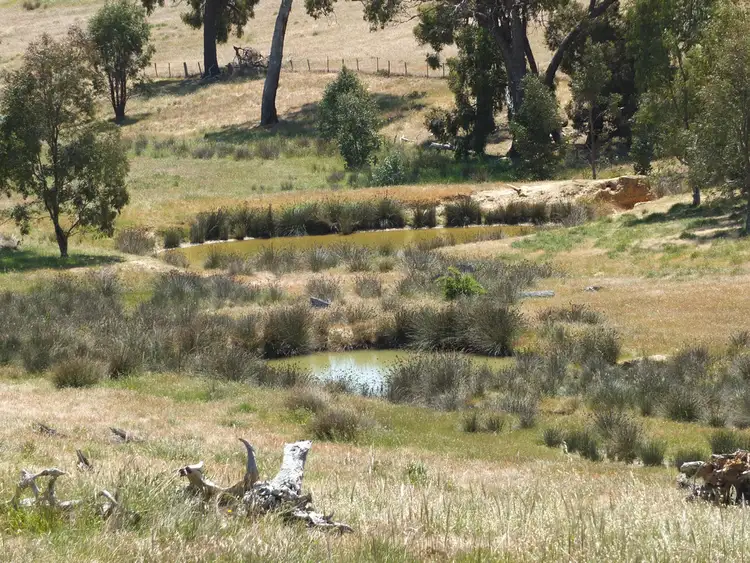 Second view of Homely rural property listing, 227-230 Townsing Road, Amphitheatre VIC 3468