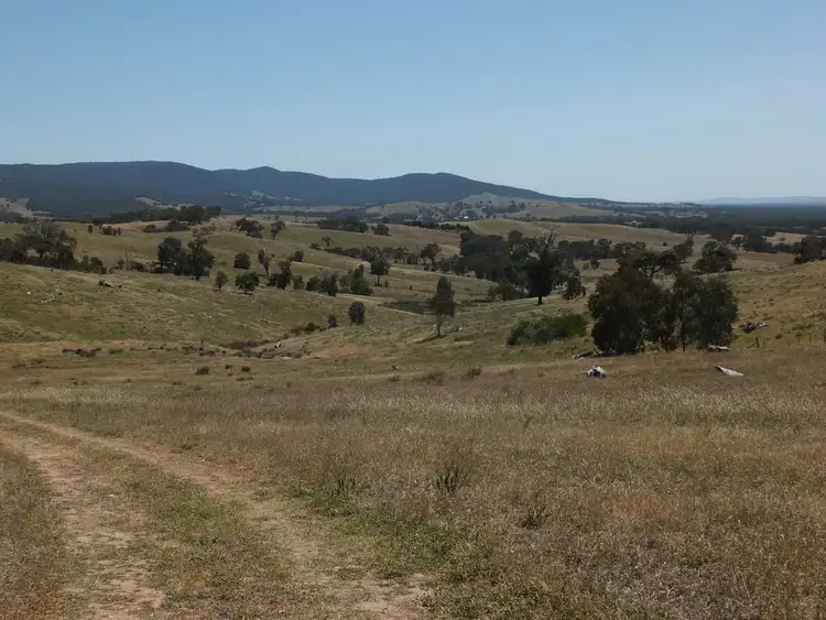 Fifth view of Homely rural property listing, 227-230 Townsing Road, Amphitheatre VIC 3468