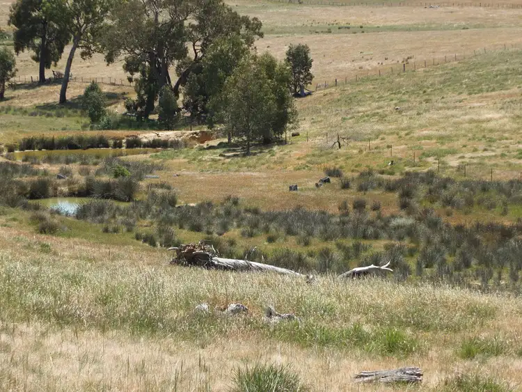 Seventh view of Homely rural property listing, 227-230 Townsing Road, Amphitheatre VIC 3468