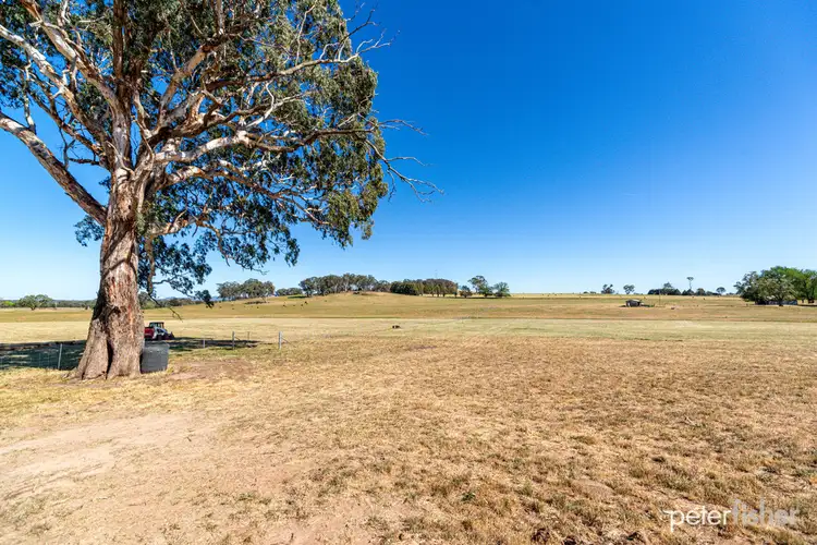 Fourth view of Homely land listing, Lot 8 of 160 Forest Reefs Road, Millthorpe NSW 2798