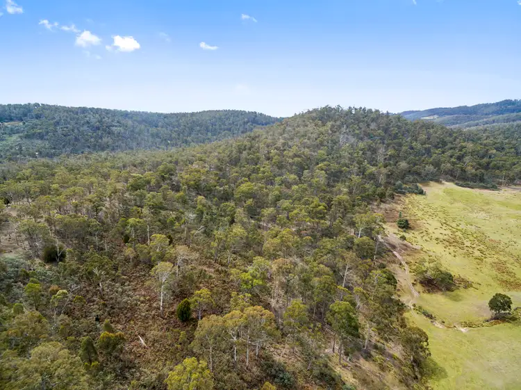 Main view of Homely land listing, Lot 1 Link Road, Colebrook TAS 7027