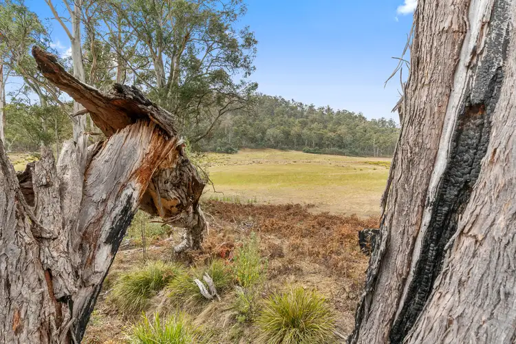 Fifth view of Homely land listing, Lot 1 Link Road, Colebrook TAS 7027