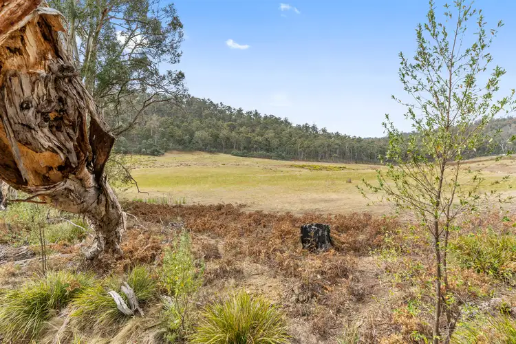 Sixth view of Homely land listing, Lot 1 Link Road, Colebrook TAS 7027