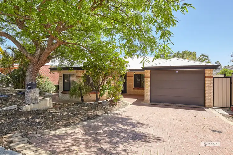 44 Senecio Lane, Beeliar WA 6164