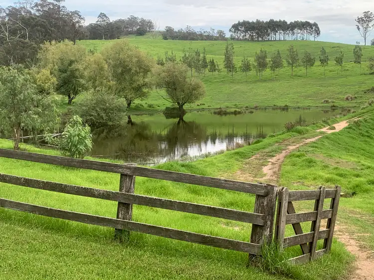Main view of Homely rural property listing, 3219 Towamba Rd, Burragate NSW 2550