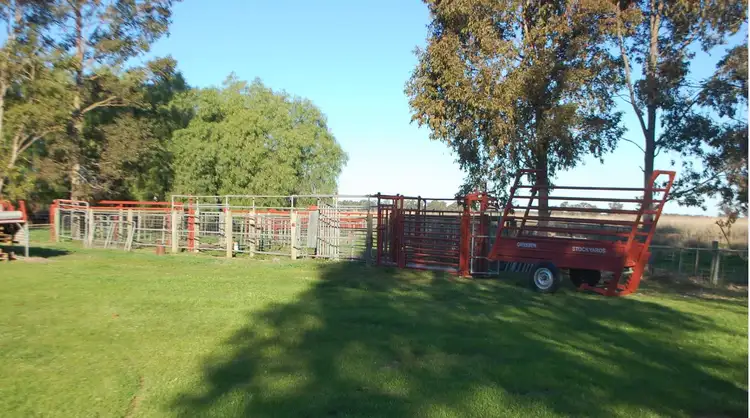 Fourth view of Homely rural property listing, 425 Hutchinson Road, Undera VIC 3629