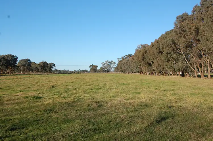 Sixth view of Homely rural property listing, 425 Hutchinson Road, Undera VIC 3629
