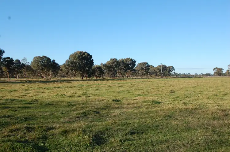 Seventh view of Homely rural property listing, 425 Hutchinson Road, Undera VIC 3629