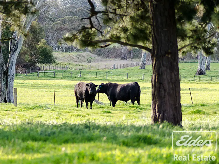Second view of Homely rural property listing, 146 B Ken Hicks Road, Mount Pleasant SA 5235