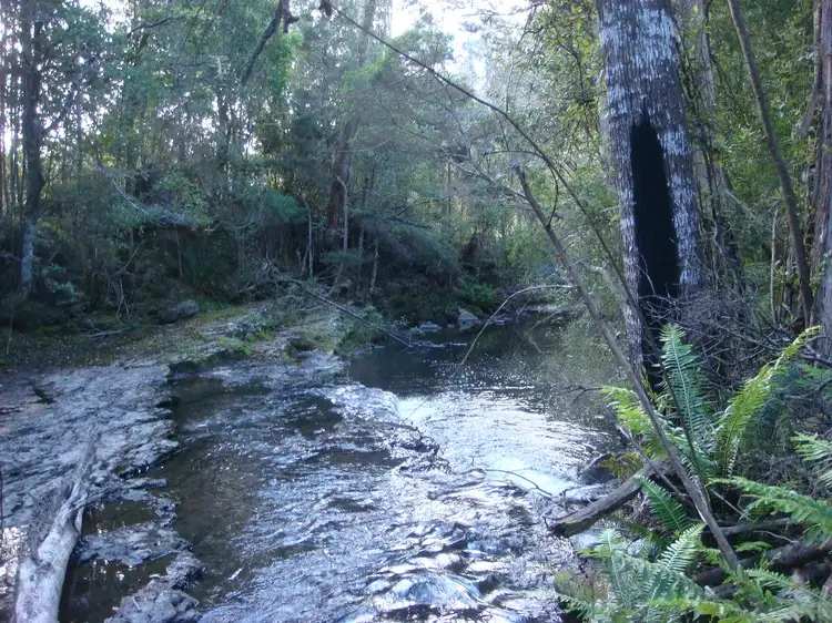 Third view of Homely rural property listing, 336 Brown Mountain Road, Karoola TAS 7267