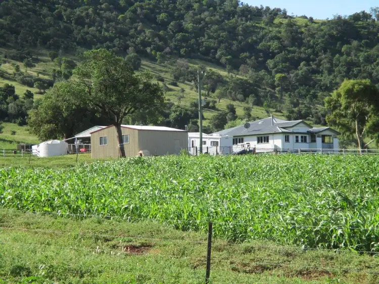 Second view of Homely rural property listing, 425 ACRES CATTLE GRAZING, Bell QLD 4408