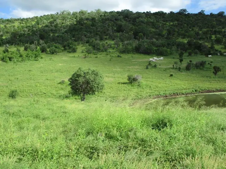Sixth view of Homely rural property listing, 425 ACRES CATTLE GRAZING, Bell QLD 4408