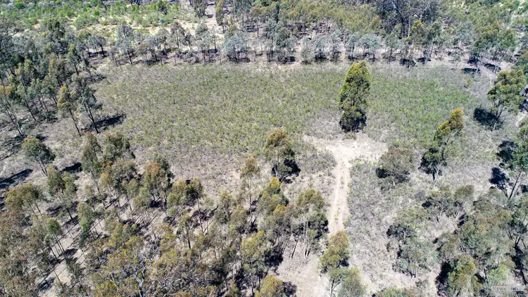 Third view of Homely rural property listing, CA38B East Boundary Road, Murchison VIC 3610