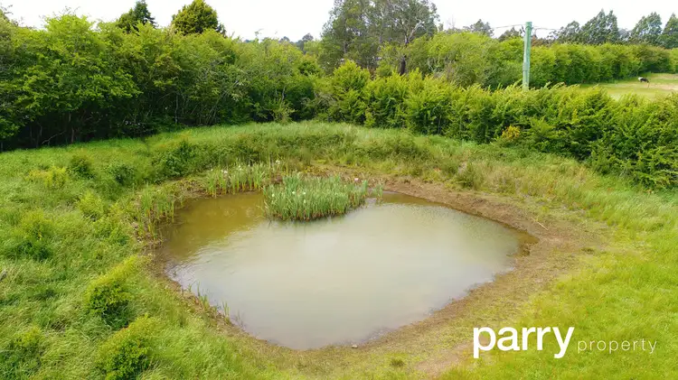Sixth view of Homely land listing, 264 Pensioners Row, Westbury TAS 7303