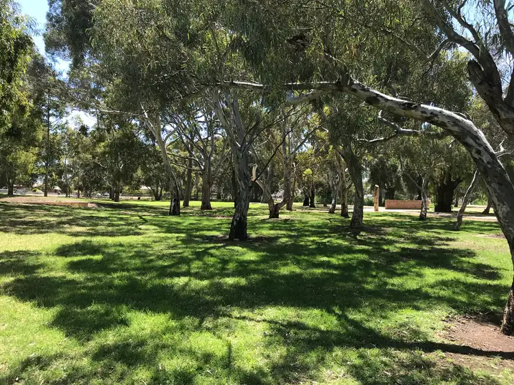 Third view of Homely house listing, 19 The Parade, Marion SA 5043