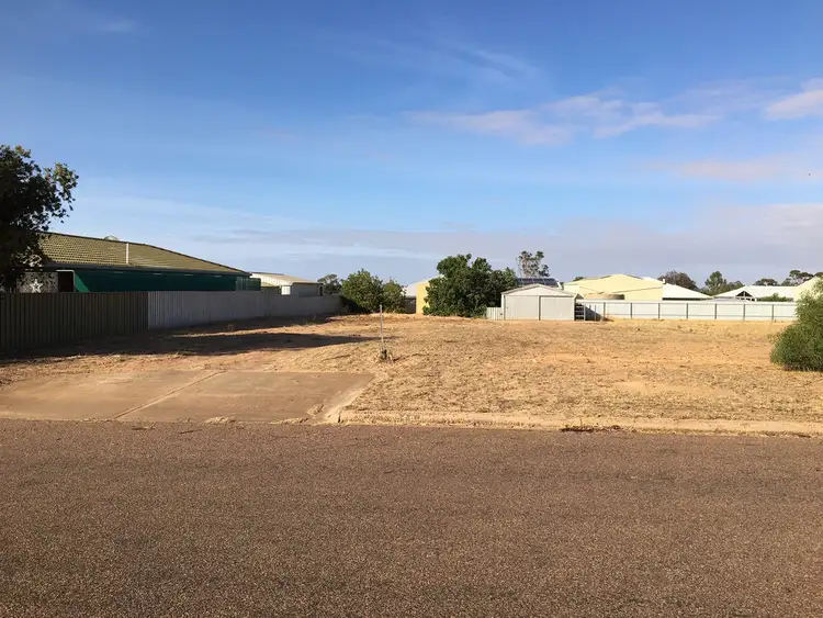 Seventh view of Homely land listing, 20 Bartley Street, Wudinna SA 5652