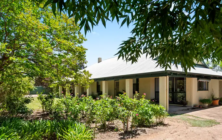 Main view of Homely house listing, 31 Twentyseventh street, Renmark SA 5341