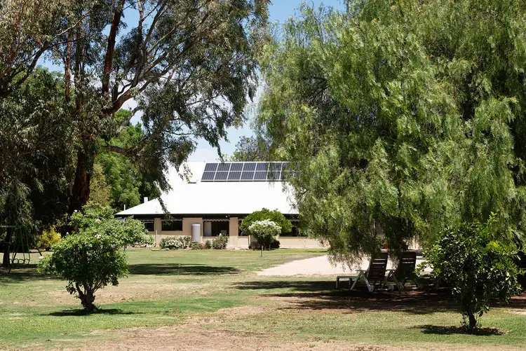 Second view of Homely house listing, 31 Twentyseventh street, Renmark SA 5341