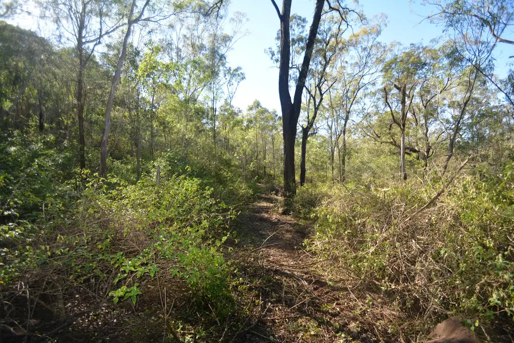 Main view of Homely land listing, 0 Hanleys Road, Ballard QLD 4352