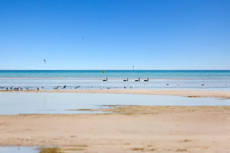 Fourth view of Homely unit listing, 65/72 Jetty Road, Rosebud VIC 3939