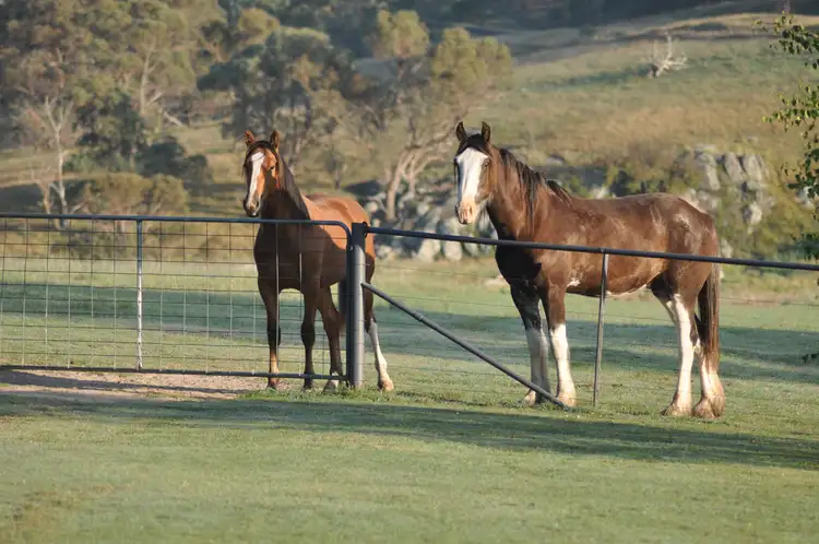 Fifth view of Homely rural property listing, Glen Idle 1004 Wollun Road, Walcha NSW 2354