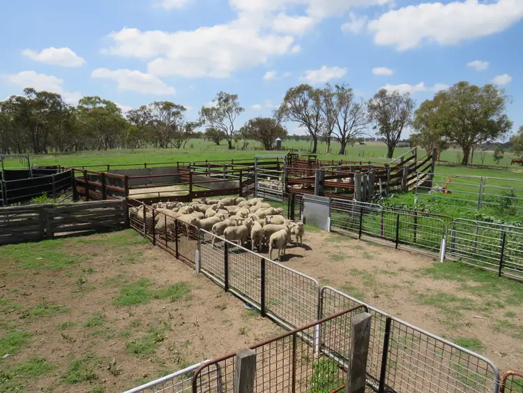 Sixth view of Homely rural property listing, Glen Idle 1004 Wollun Road, Walcha NSW 2354