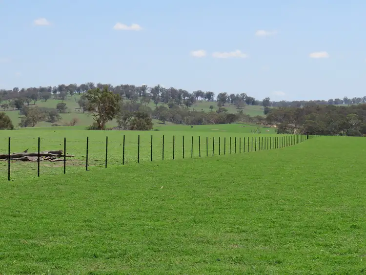 Seventh view of Homely rural property listing, Glen Idle 1004 Wollun Road, Walcha NSW 2354