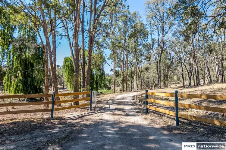 Fourth view of Homely rural property listing, 1524 New England Gully, Moonbi NSW 2353