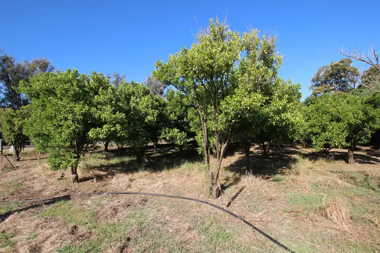 Fourth view of Homely other listing, 6 McFarlane Rd, Hamel WA 6215