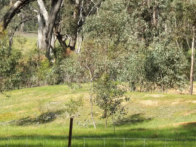 Fourth view of Homely rural property listing, 3 Landsborough Road, Navarre VIC 3384