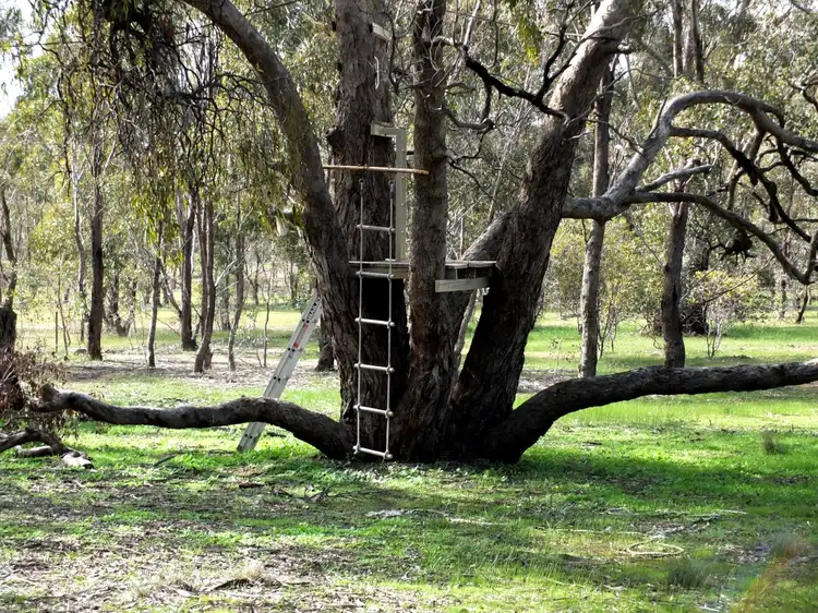 Seventh view of Homely rural property listing, 3 Landsborough Road, Navarre VIC 3384
