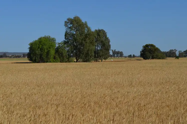 Seventh view of Homely rural property listing, 941 Bakers Lane, Beckom NSW 2665