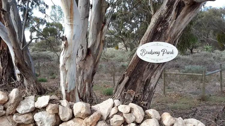 Second view of Homely house listing, 24 Pontt Road, Loxton SA 5333