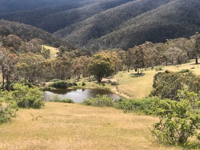 Second view of Homely land listing, 200 Dry Gully Road, Omeo VIC 3898