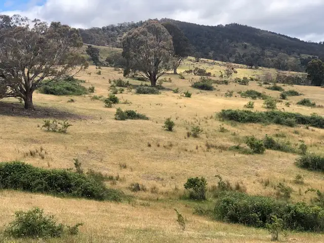 Third view of Homely land listing, 200 Dry Gully Road, Omeo VIC 3898