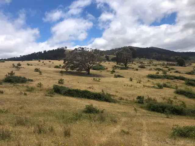 Fifth view of Homely land listing, 200 Dry Gully Road, Omeo VIC 3898