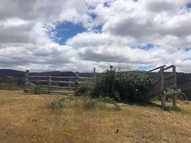 Sixth view of Homely land listing, 200 Dry Gully Road, Omeo VIC 3898