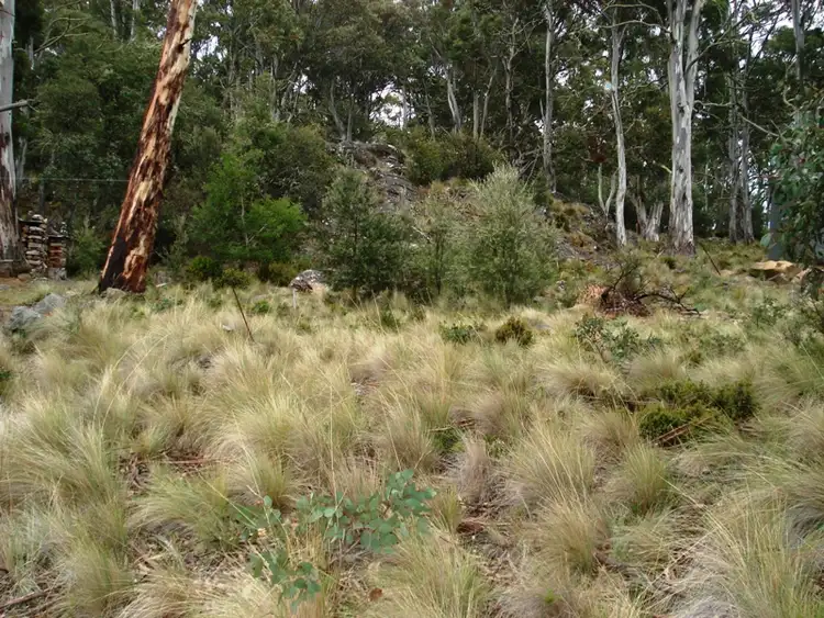 Sixth view of Homely land listing, 46 Dolerite Crescent, Flintstone, Arthurs Lake TAS 7030