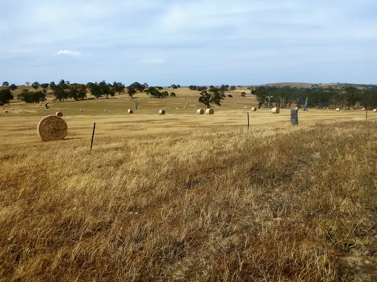 Second view of Homely rural property listing, 58 W Millers Road, Springton SA 5235