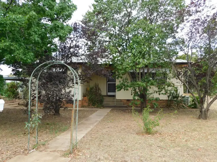 Main view of Homely house listing, 46 Darling St, Baradine NSW 2396