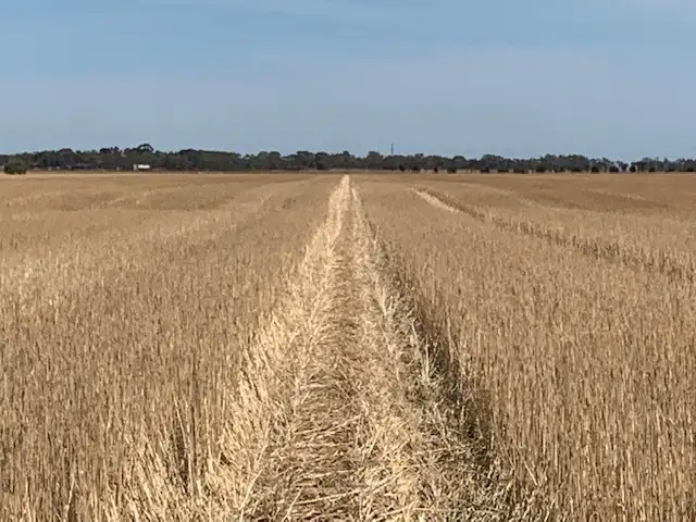 Second view of Homely rural property listing, 429 Wasleys Road, Mallala SA 5502