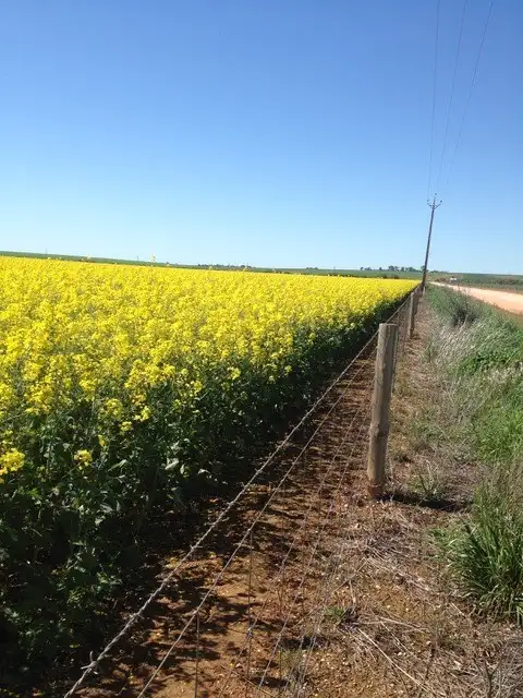 Third view of Homely rural property listing, 429 Wasleys Road, Mallala SA 5502