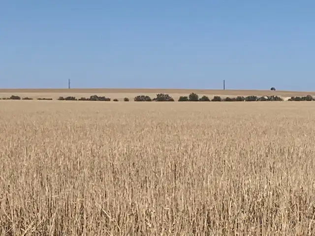 Fourth view of Homely rural property listing, 429 Wasleys Road, Mallala SA 5502