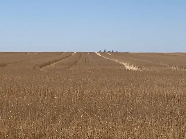 Sixth view of Homely rural property listing, 429 Wasleys Road, Mallala SA 5502