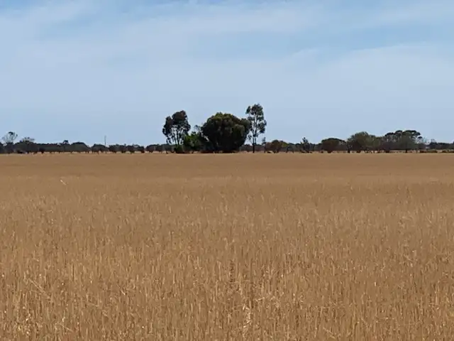 Seventh view of Homely rural property listing, 429 Wasleys Road, Mallala SA 5502