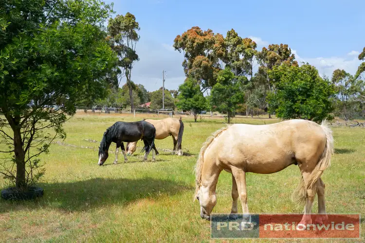 Main view of Homely land listing, 458 Moonlight Road, Berringa VIC 3351
