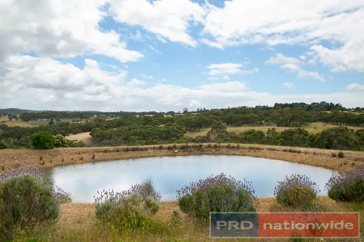 Second view of Homely land listing, 458 Moonlight Road, Berringa VIC 3351