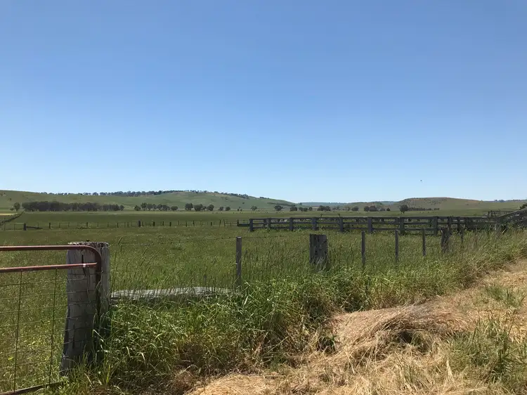 Third view of Homely rural property listing, 0 Ferry Hills Road, Dunrobin VIC 3312
